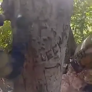 9afefb38-9410-4a78-aaea-cc4dce5423e5.mov