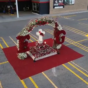 c4b7bb37-e9d4-4995-b63b-8f8bc4867d37.mov